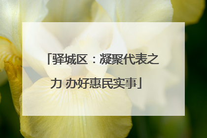 驿城区：凝聚代表之力 办好惠民实事