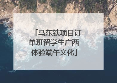 马东铁项目订单班留学生广西体验端午文化
