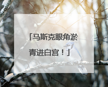 马斯克眼角淤青进白宫！