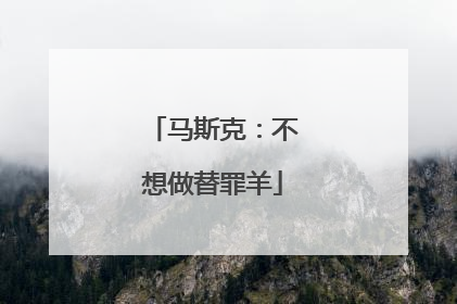 马斯克：不想做替罪羊