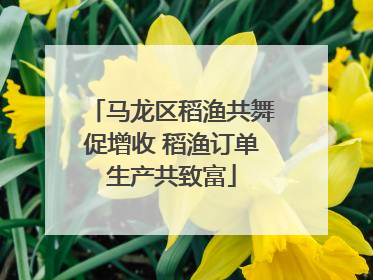 马龙区稻渔共舞促增收 稻渔订单生产共致富