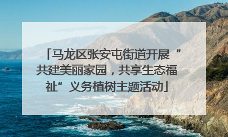 马龙区张安屯街道开展“共建美丽家园，共享生态福祉”义务植树主题活动