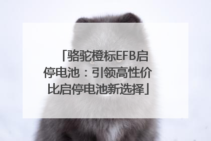 骆驼橙标EFB启停电池：引领高性价比启停电池新选择