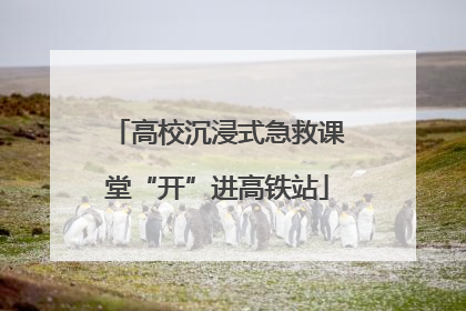 高校沉浸式急救课堂“开”进高铁站