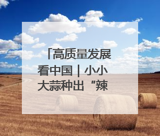 高质量发展看中国｜小小大蒜种出“辣”经济