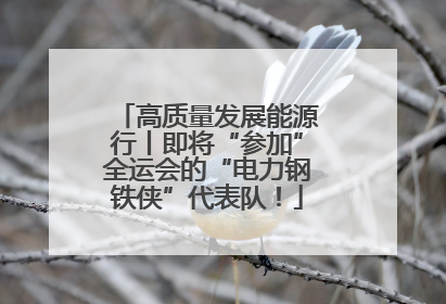 高质量发展能源行丨即将“参加”全运会的“电力钢铁侠”代表队！
