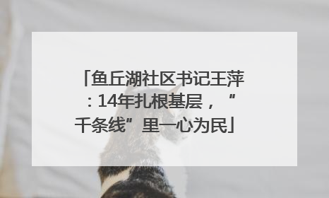 鱼丘湖社区书记王萍：14年扎根基层，“千条线”里一心为民