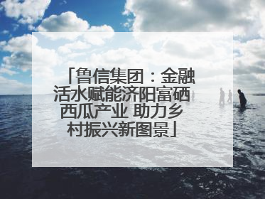 鲁信集团：金融活水赋能济阳富硒西瓜产业 助力乡村振兴新图景