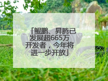 鲲鹏、昇腾已发展超665万开发者，今年将进一步开放