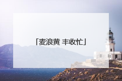 麦浪黄 丰收忙