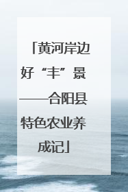 黄河岸边好“丰”景——合阳县特色农业养成记