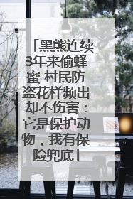 黑熊连续3年来偷蜂蜜 村民防盗花样频出却不伤害：它是保护动物，我有保险兜底