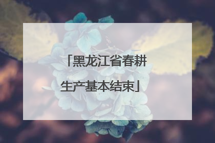 黑龙江省春耕生产基本结束
