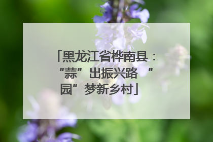 黑龙江省桦南县：“蒜”出振兴路 “园”梦新乡村