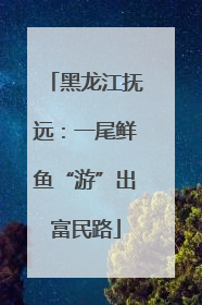 黑龙江抚远：一尾鲜鱼“游”出富民路