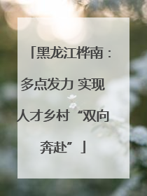 黑龙江桦南：多点发力 实现人才乡村“双向奔赴”