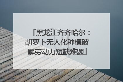 黑龙江齐齐哈尔：胡萝卜无人化种植破解劳动力短缺难题