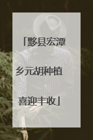 黟县宏潭乡元胡种植喜迎丰收