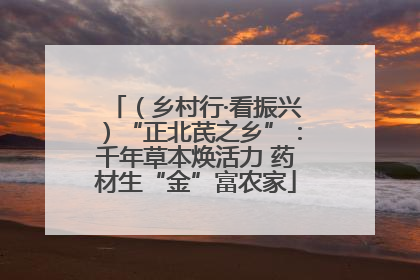 （乡村行·看振兴）“正北芪之乡”：千年草本焕活力 药材生“金”富农家