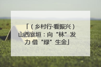 （乡村行·看振兴）山西襄垣：向“林”发力 借“绿”生金