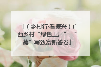（乡村行·看振兴）广西乡村“绿色工厂” “蔬”写致富新答卷