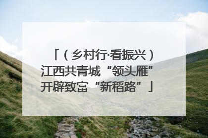 （乡村行·看振兴）江西共青城“领头雁”开辟致富“新稻路”