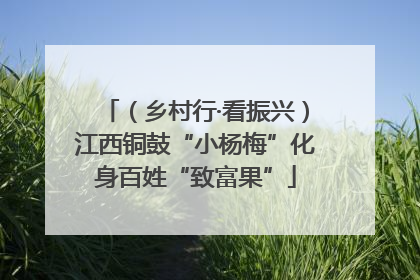 （乡村行·看振兴）江西铜鼓“小杨梅”化身百姓“致富果”