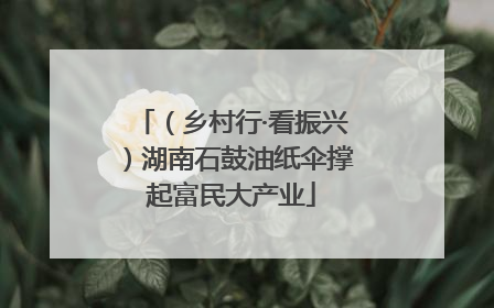 （乡村行·看振兴）湖南石鼓油纸伞撑起富民大产业