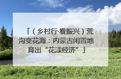 （乡村行·看振兴）荒沟变花海：内蒙古闲置地育出“花漾经济”