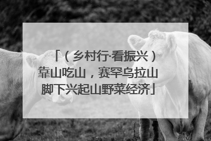 （乡村行·看振兴）靠山吃山，赛罕乌拉山脚下兴起山野菜经济