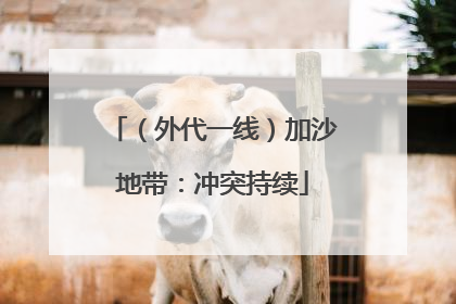 （外代一线）加沙地带：冲突持续