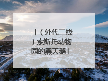 （外代二线）索斯托动物园的黑天鹅