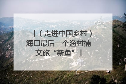 （走进中国乡村）海口最后一个渔村捕文旅“新鱼”