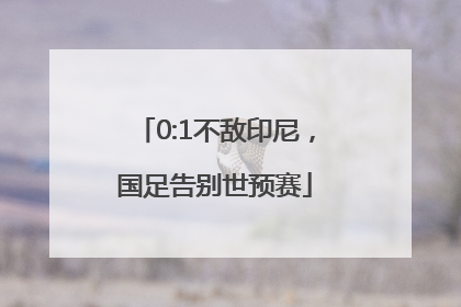 0:1不敌印尼，国足告别世预赛