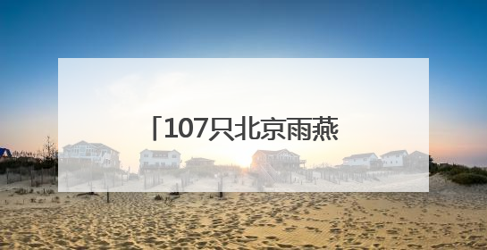 107只北京雨燕完成年度“体检”