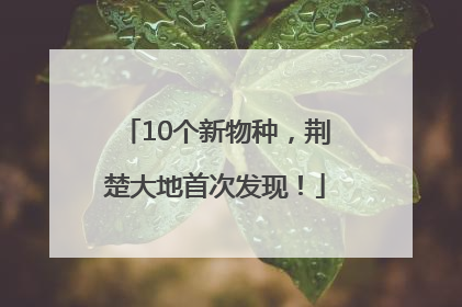 10个新物种，荆楚大地首次发现！