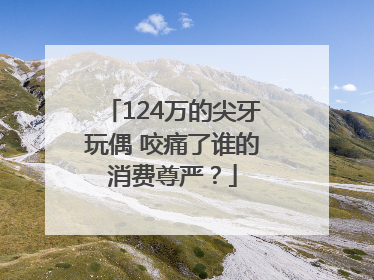 124万的尖牙玩偶 咬痛了谁的消费尊严？