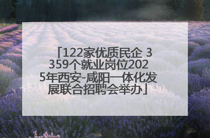 122家优质民企 3359个就业岗位2025年西安-咸阳一体化发展联合招聘会举办