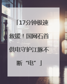 17分钟极速救援！国网石首供电守护江豚不断“电”