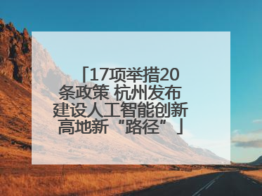 17项举措20条政策 杭州发布建设人工智能创新高地新“路径”