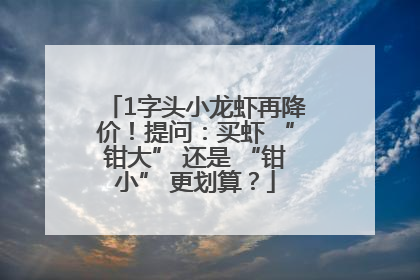 1字头小龙虾再降价！提问：买虾 “钳大” 还是 “钳小” 更划算？