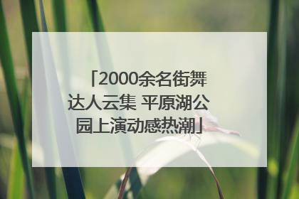 2000余名街舞达人云集 平原湖公园上演动感热潮