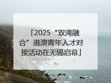 2025“双湾融合”港澳青年人才对接活动在无锡启幕
