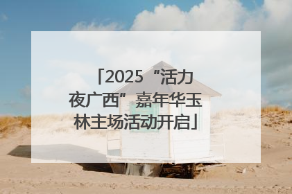 2025“活力夜广西”嘉年华玉林主场活动开启