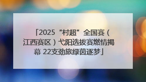 2025“村超”全国赛（江西赛区）弋阳选拔赛燃情揭幕 22支劲旅绿茵逐梦