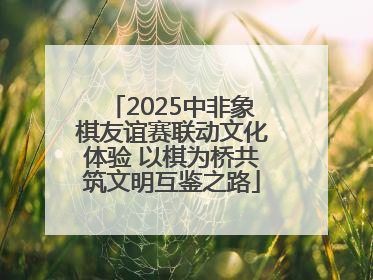2025中非象棋友谊赛联动文化体验 以棋为桥共筑文明互鉴之路