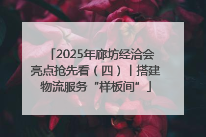 2025年廊坊经洽会亮点抢先看（四）丨搭建物流服务“样板间”