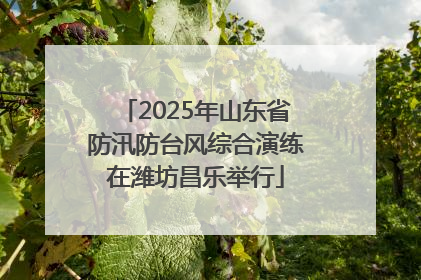 2025年山东省防汛防台风综合演练在潍坊昌乐举行