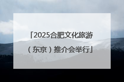 2025合肥文化旅游（东京）推介会举行