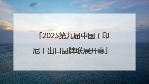 2025第九届中国（印尼）出口品牌联展开幕